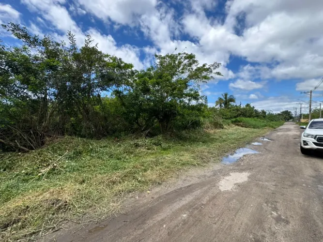 Terreno para Venda em Itanhaém, Palmeiras