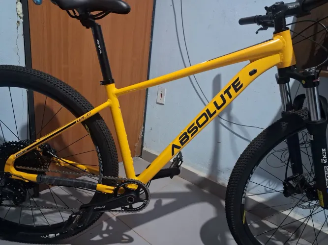 Quadro absolute wild 2 boost tam 17