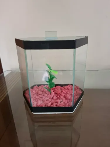 Aquário pequeno para decoração 