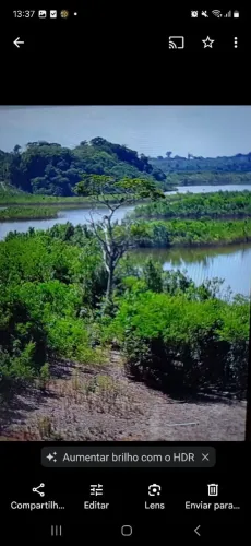Vendo um terra no Amazonas 
