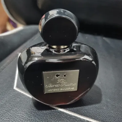 Antonio Banderas Her Secret Flame 