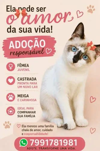 3 FOFURAS 