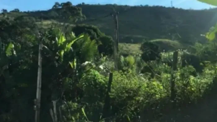 Leilão - Rural - De R$23.800.000,00 Por R$11.900.000,00
