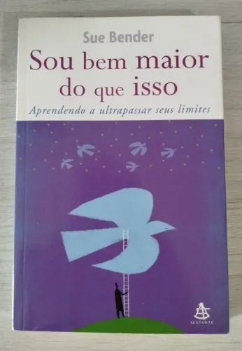 Livro Sou Bem Maior do que Isso - Sue Bender