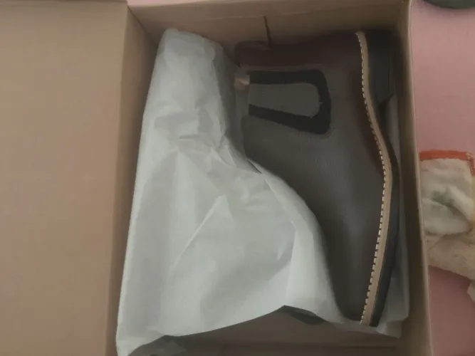 Bota