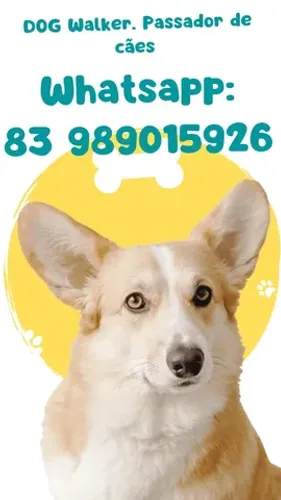 Passeador de cachorro
