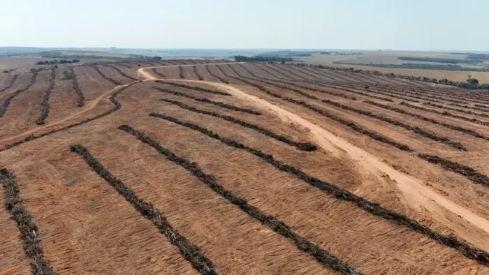 Fazenda São Gabriel do Oeste 440 Hectares!