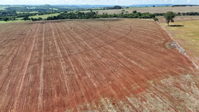 Fazenda em pontalina-go