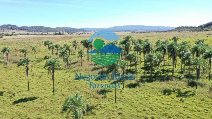 Fazenda 784 Hectares ou 162 Alqueires Norte Goiano. Dupla Aptidão.