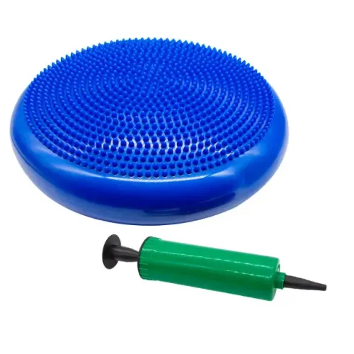 Disco de Equilíbrio 33cm Yoga Pilates Fisioterapia com Bomba Inflável - Nagano -E016793