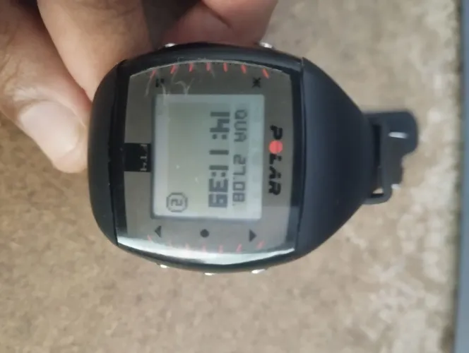 Polar FT4M