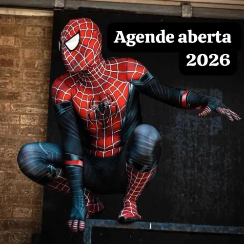 Homem Aranha na sua festa 