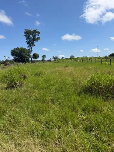fazendinha barato no Cantá