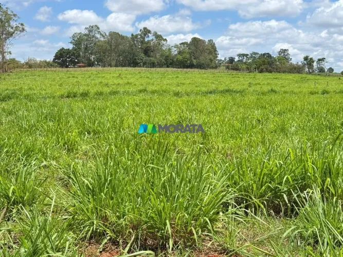 FAZENDA À VENDA - 60 HACTARES - TAPIRAÍ (MG)