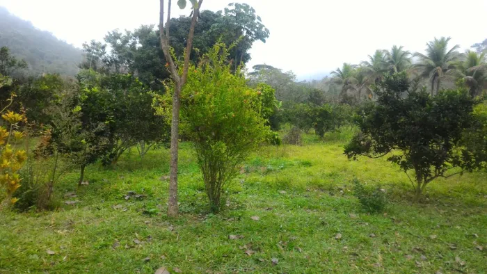 Fazenda itambacuri