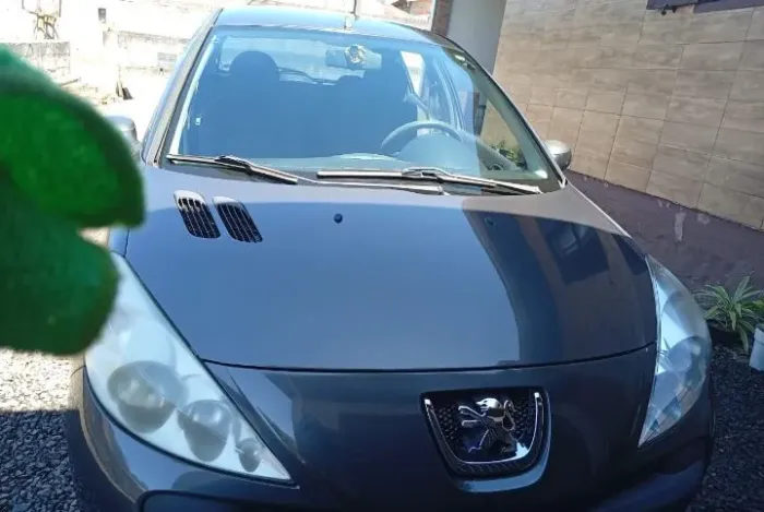 Peugeot 207 XR 1.4 Flex 8V 5P 2010