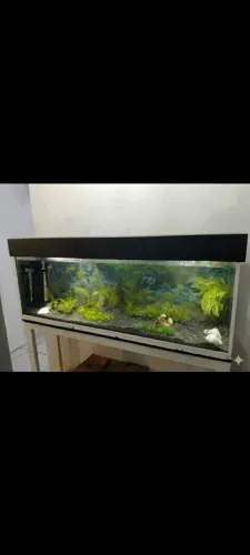 Lindo aquário completo.. interessados zap *