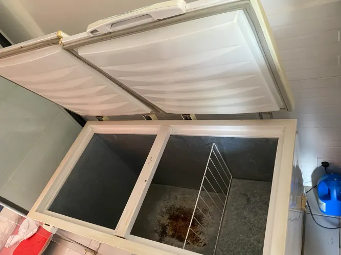 Freezer Horizontal Electrolux