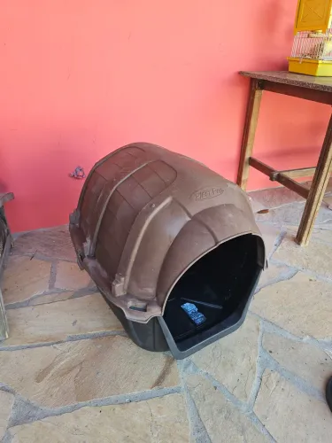 Casinha de cachorro Numero 4