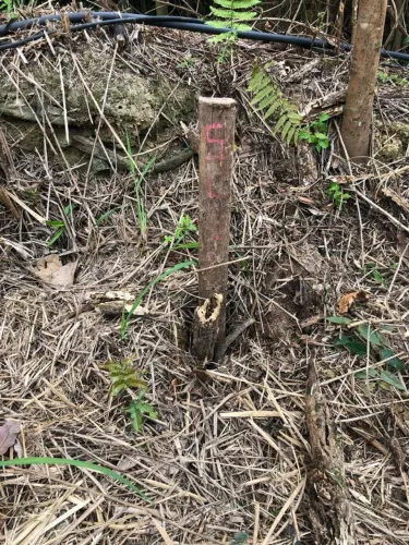 Vendo terreno  no condomínio  Jardim monet vargem grande 
