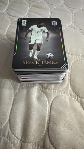 Cards Panini kayou 
