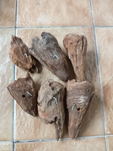 No de Pinheiro para plantas