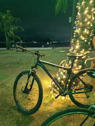 Moutain bike SOUL ARO 29 10v