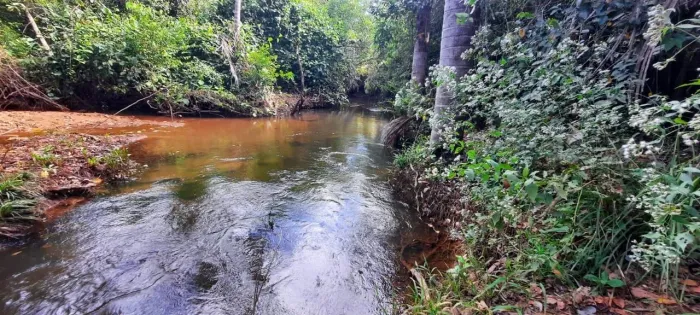 Fazenda à venda em Miranorte TO