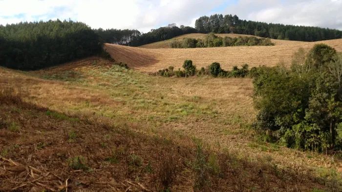AREA RURAL A 10 MINUTOS DO CENTRO DE CAMPO ALEGRE/SC