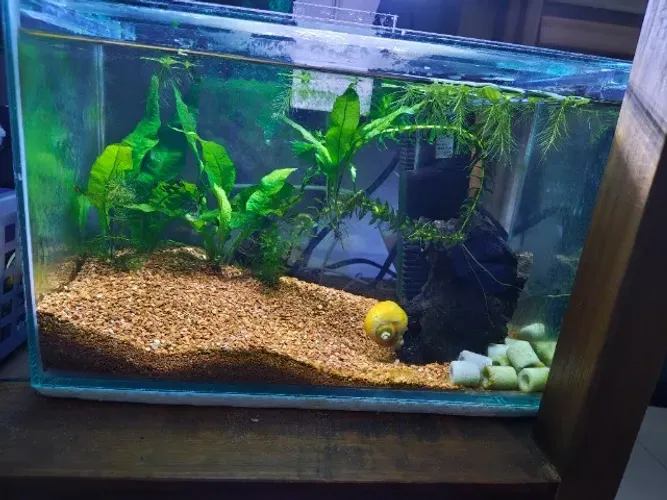 Vendo aquário 9 litros