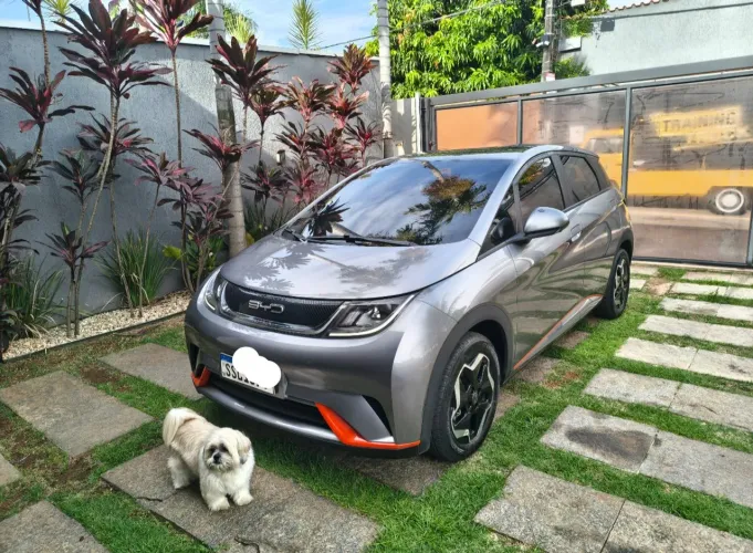BYD Dolphin EV (Elétrico) 2024