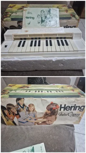 Mini Organ Hering 