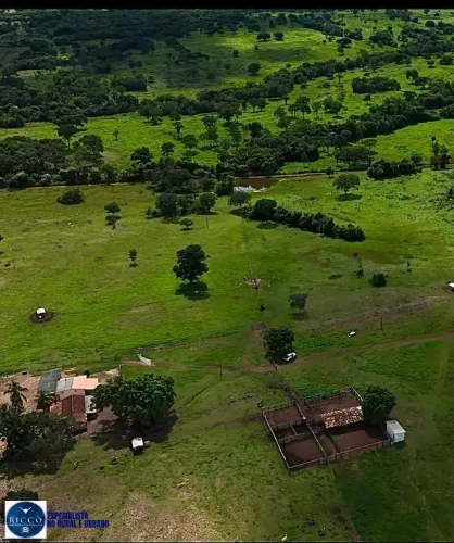 FAZENDA À VENDA EM NOVA CRIXÁS-GO | 330 HECTARES | PECUÁRIA