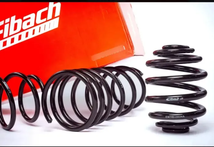 MOLAS EIBACH PARA CARRO CLIO 1.0/1.6