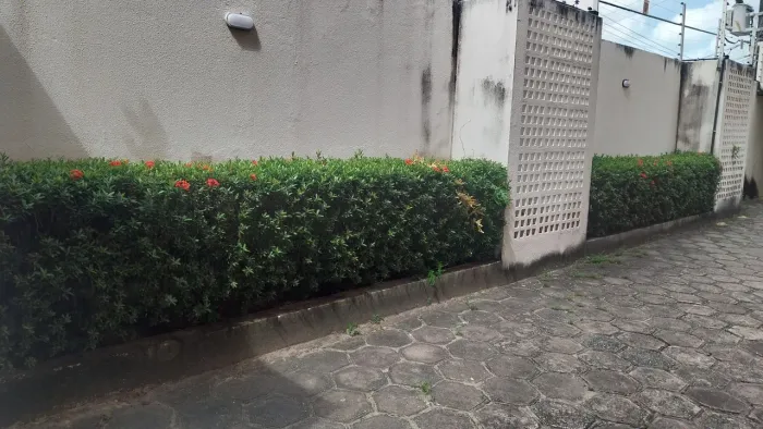 Faço limpeza em jardim