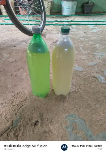 Sabão caseiro em líquido e em barra