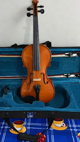 Violino Eagle 4/4 ajustado e kit em ébano 