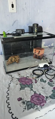 Kit aquário 