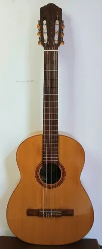 Víolão Di Giorgio modelo Amazonas ano 1984