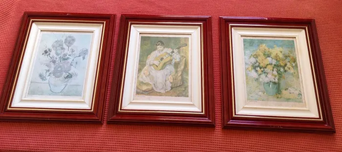 3 Molduras com Vidro - Quadros de 47,5 cm x 41,0 cm