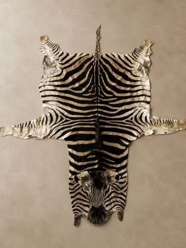 Tapete (pele) autêntica de Zebra