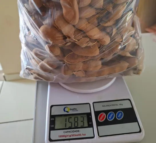 Tamarindos