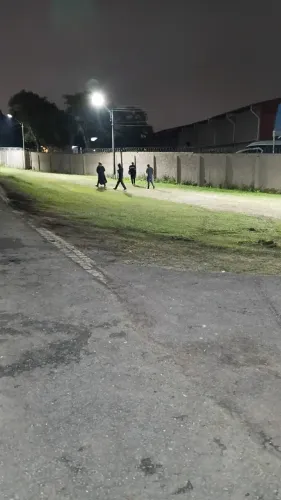 Ofereço meus serviços free-lancer ou diárias ou comisao