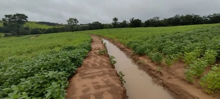Fazenda dupla aptidão município de Coromandel
