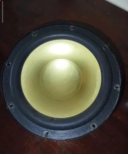 Subwoofer Philips 8 polegadas 