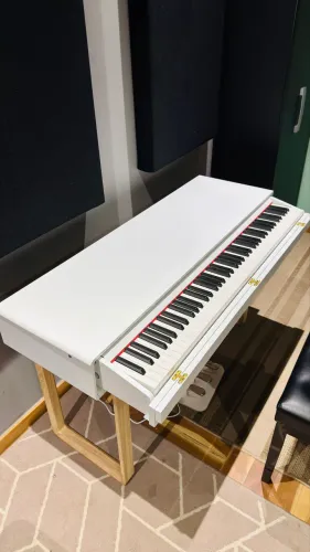 Piano Digital Wonder WR 120
