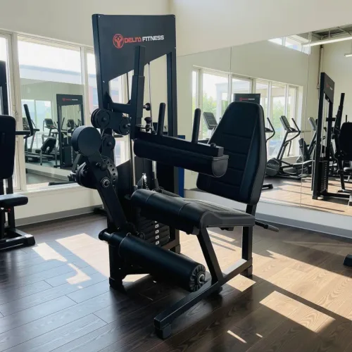 Cadeira flexora e extensora conjugada 80kg