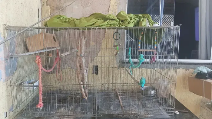 Vendo gaiola grande de calopsita!