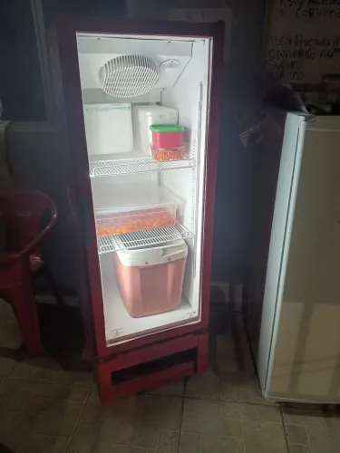 Freezer expositor vertical