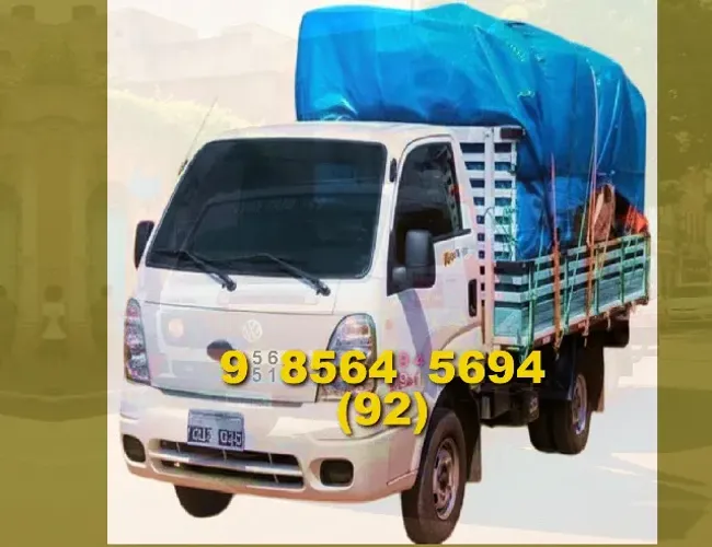Frete: qualidade e segurança para suas mudanças e transporte de cargas!